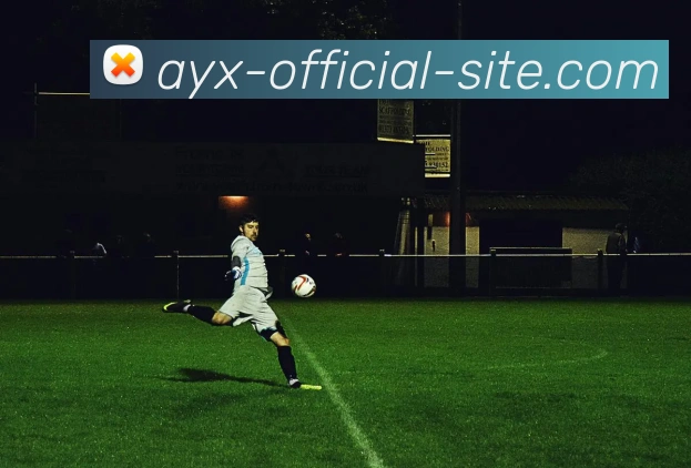 爱游戏品牌故事