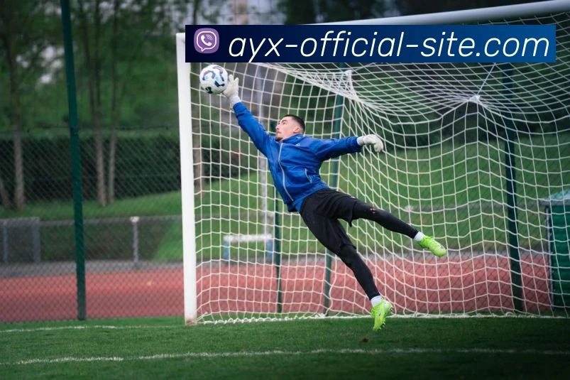 爱游戏服务体系